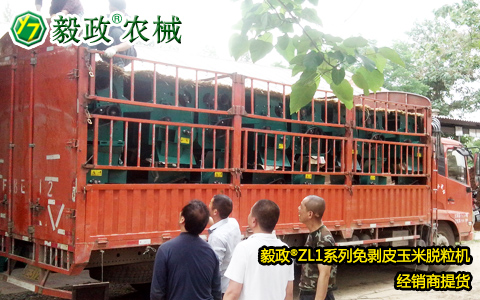 外地客戶(hù)來(lái)我司提取1車(chē)毅政牌ZL1D型電機(jī)式免剝皮玉米脫粒機(jī)