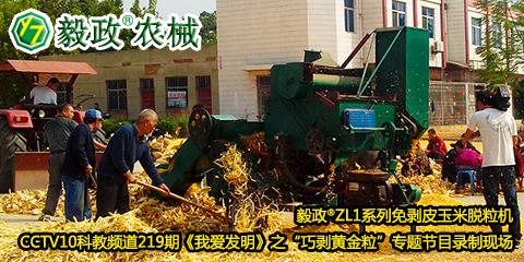毅政?ZL1系列免剝皮玉米脫粒機在中央電視臺CCTV10科教頻道219期《我愛發(fā)明》之“巧剝黃金?！睂ｎ}節(jié)目錄制現(xiàn)場